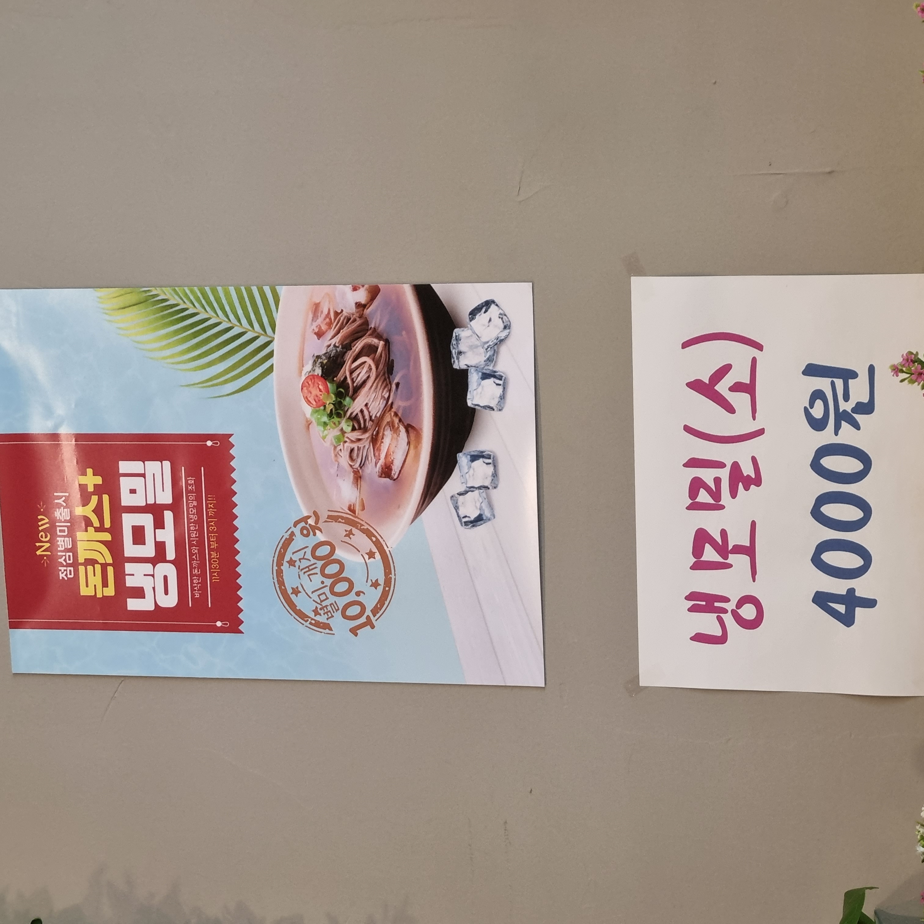 봄돈카츠 1