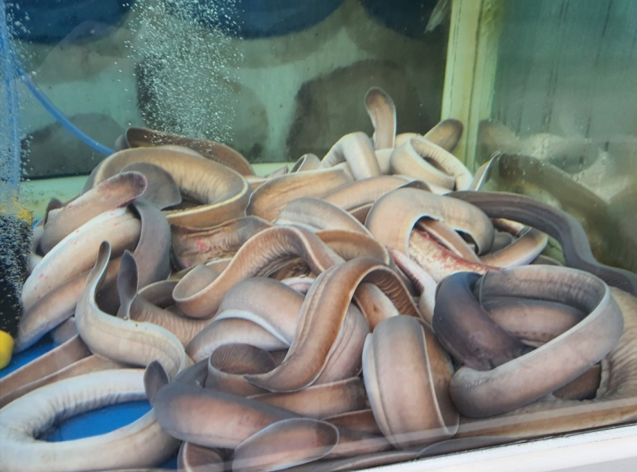 엄마손산곰장어 사진 4