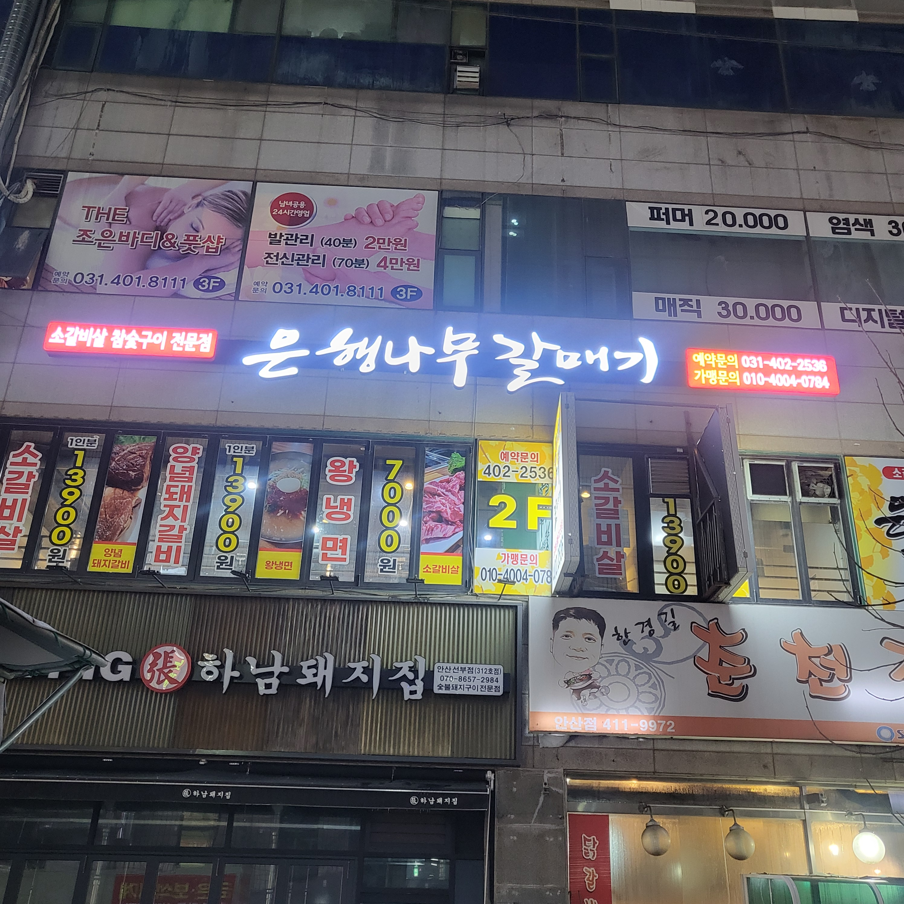 은행나무갈매기 안산점 사진 2