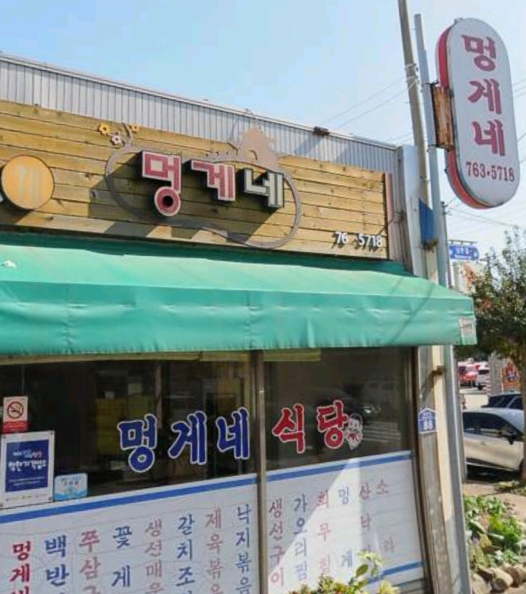 멍게네 사진 5