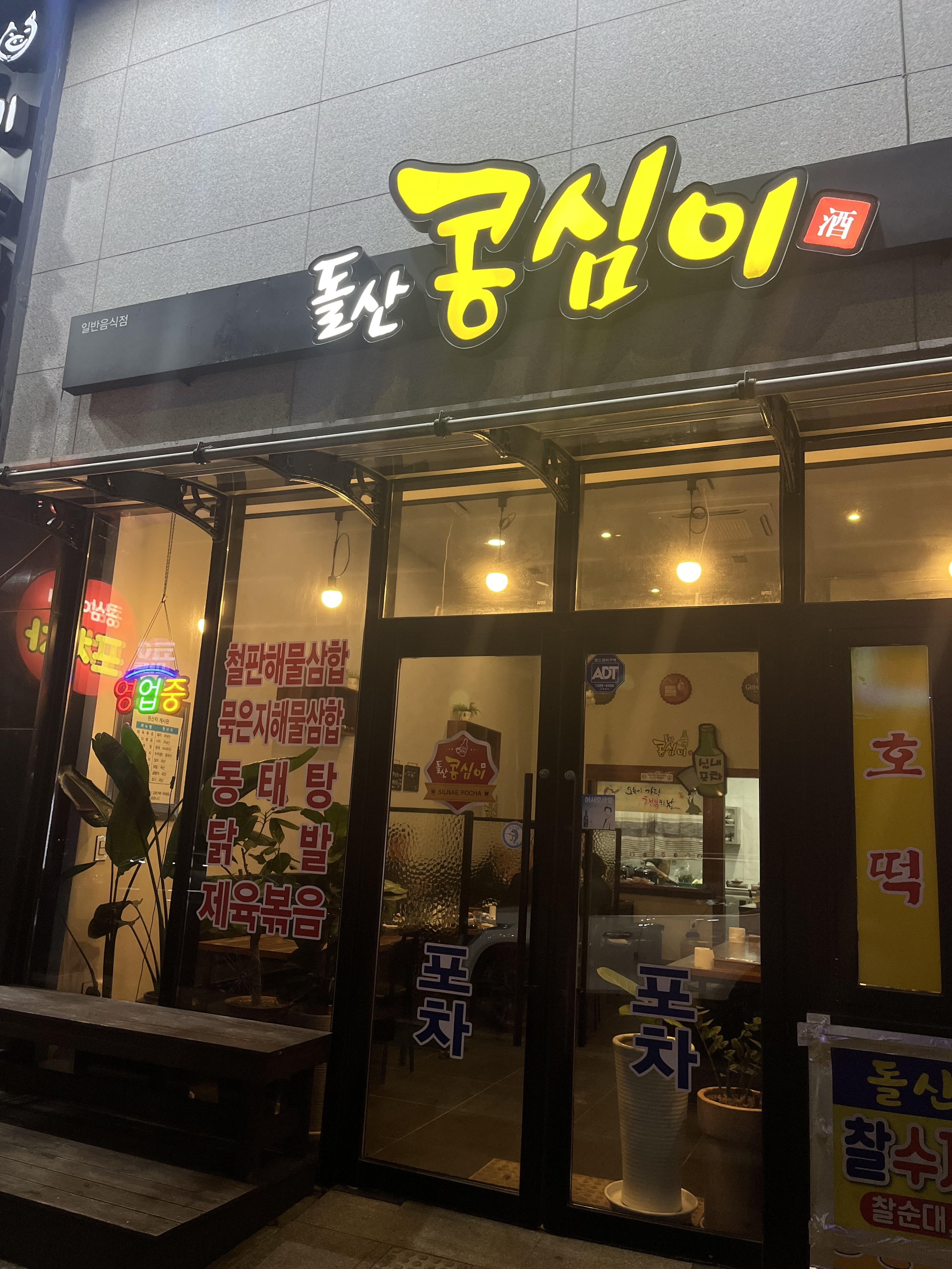 돌산콩심이 사진 2