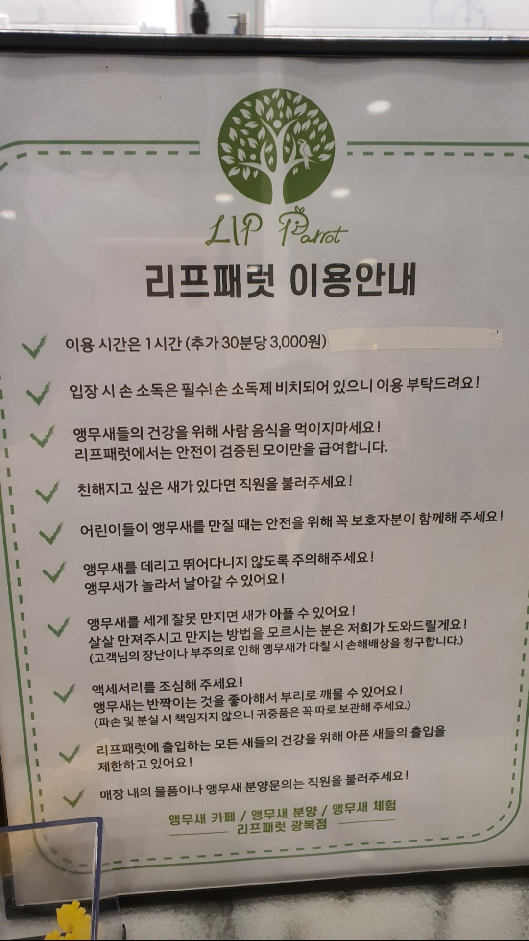 리프패럿 롯데마트 광복점