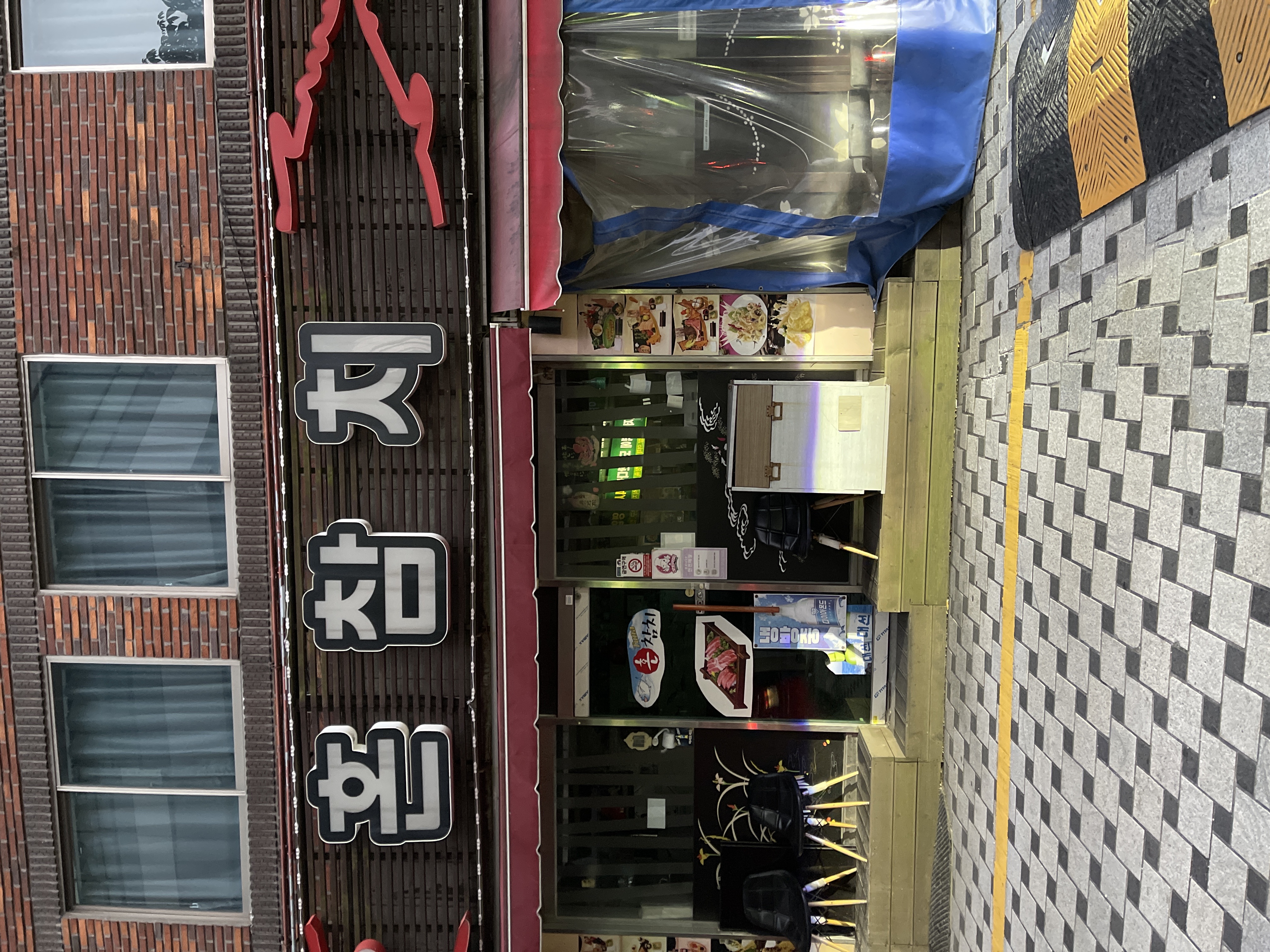 혼참치 사진 8