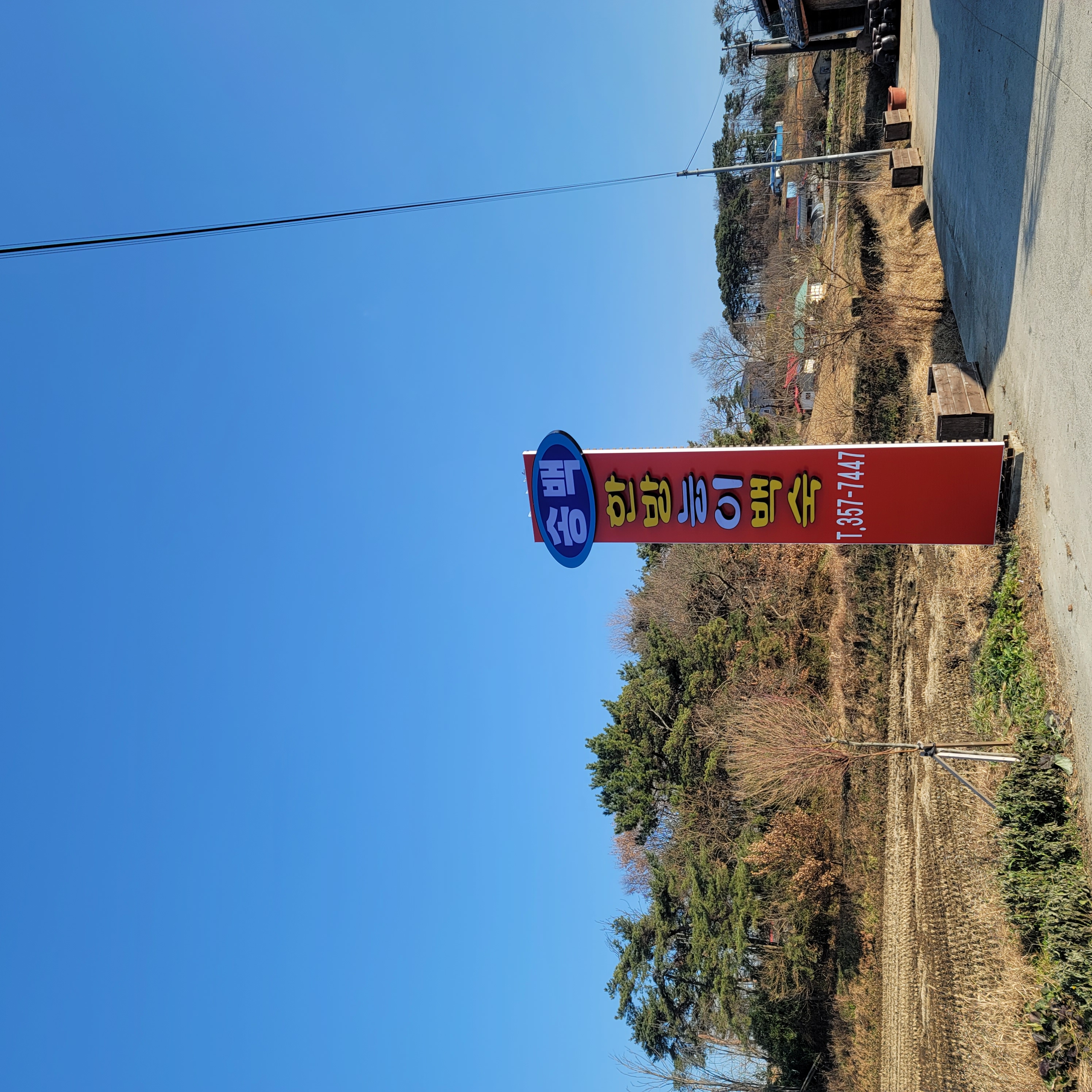 Songbaek (송백) 1