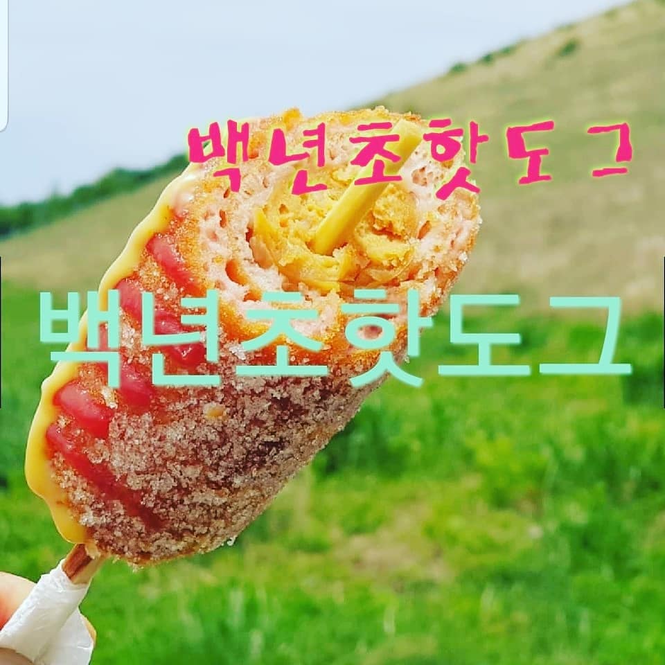 제주백년초핫도그 달리는섬 사진 3