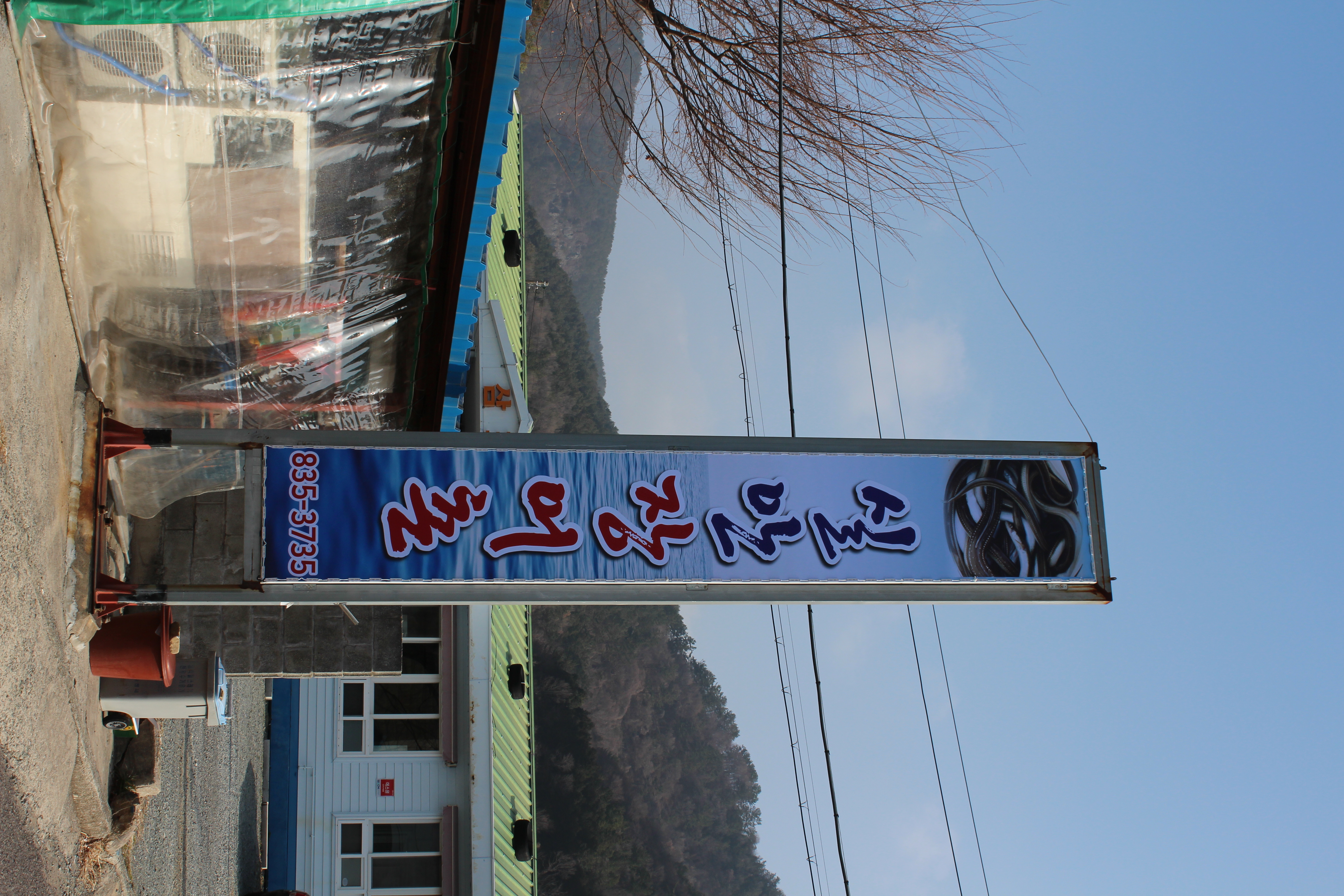 실안장어촌 사진 4