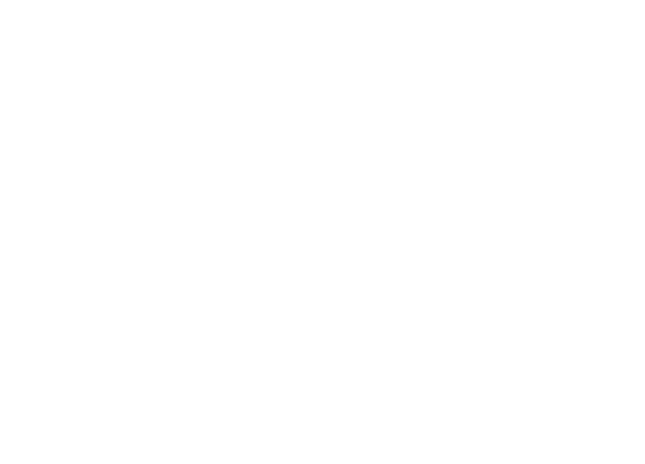 2024 블랙 마켓