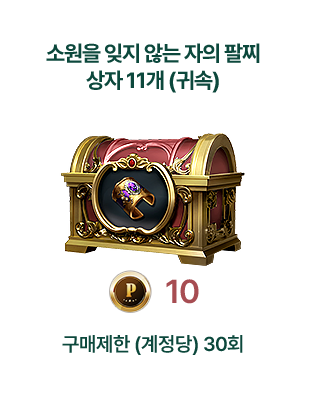 소원을 잊지 않는 자의 팔찌 상자 11개 (귀속)