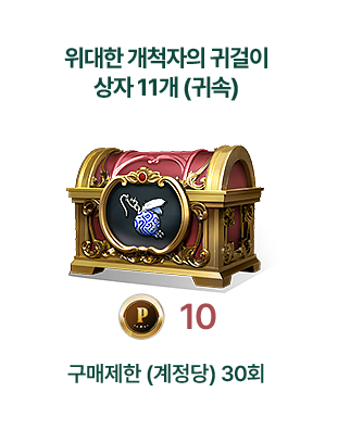 위대한 개척자의 귀걸이 상자 11개 (귀속)