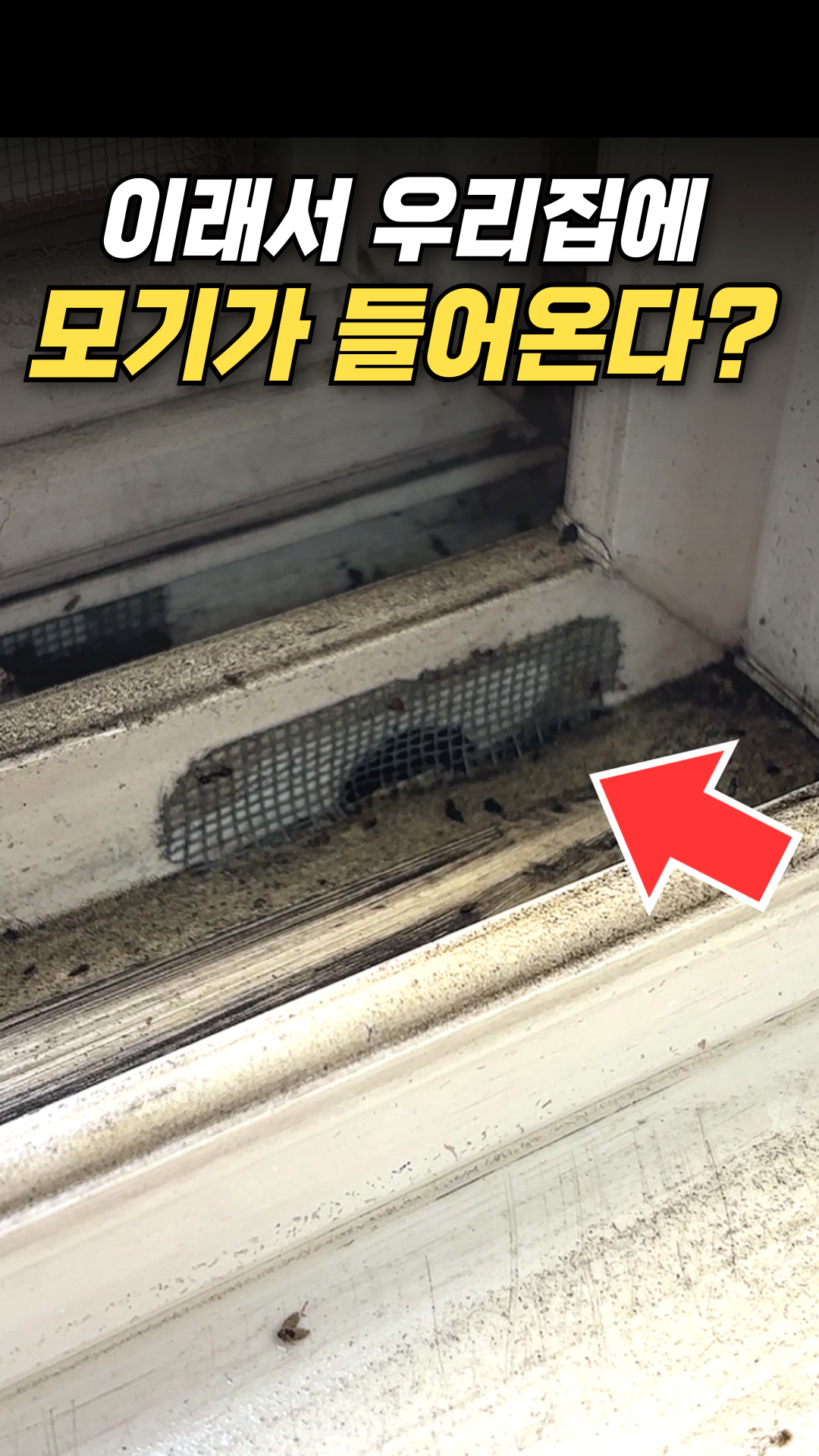 이것만 알면 모기 전부 없어집니다 #방충망 #정보 #지식