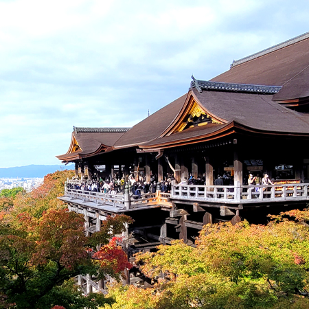 일본 자유여행 가이드투어 마이퍼스트가이드