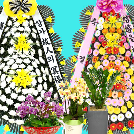 전국49000원 화환 꽃배달