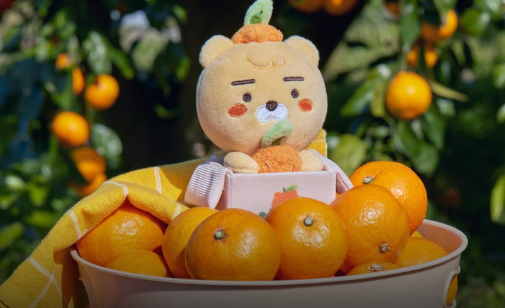 함께하는 상생