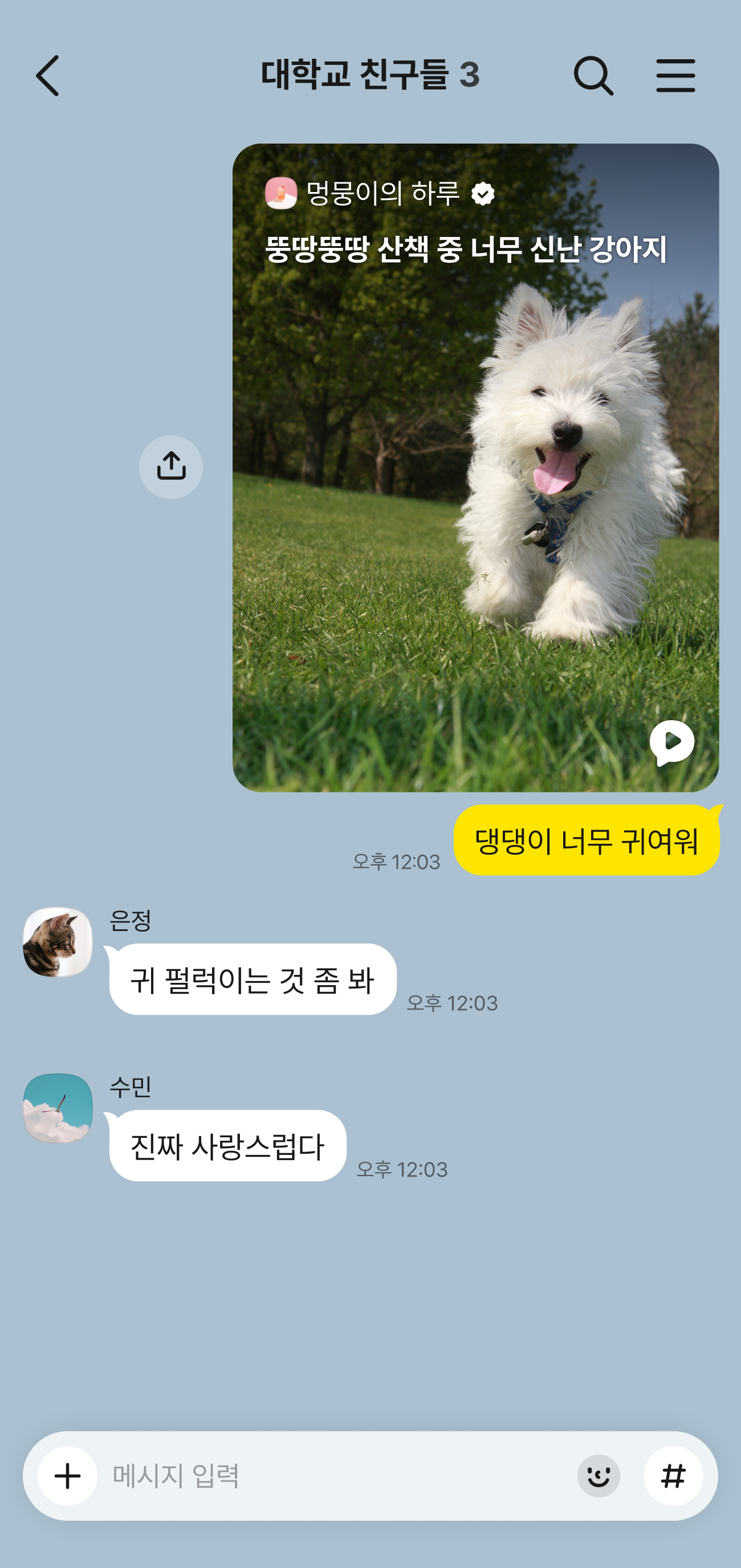 지금탭 숏폼을 그룹채팅방으로 공유한 화면