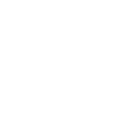 Kakao IP Business growing with partners