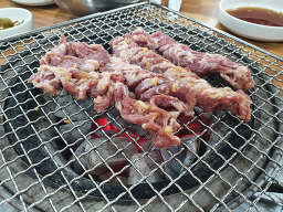 부산갈매기 사진 7