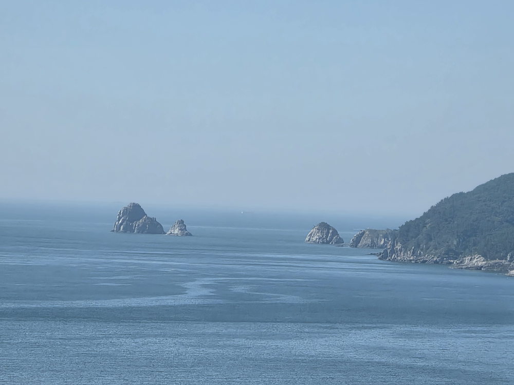수변최고돼지국밥 마린시티점 대표 사진