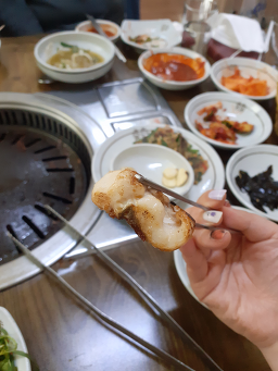 장어여행 사진 2
