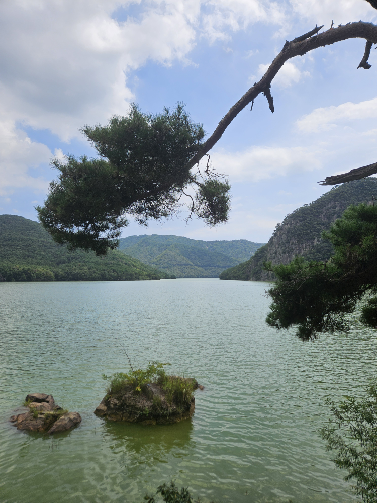 할매집 사진 2