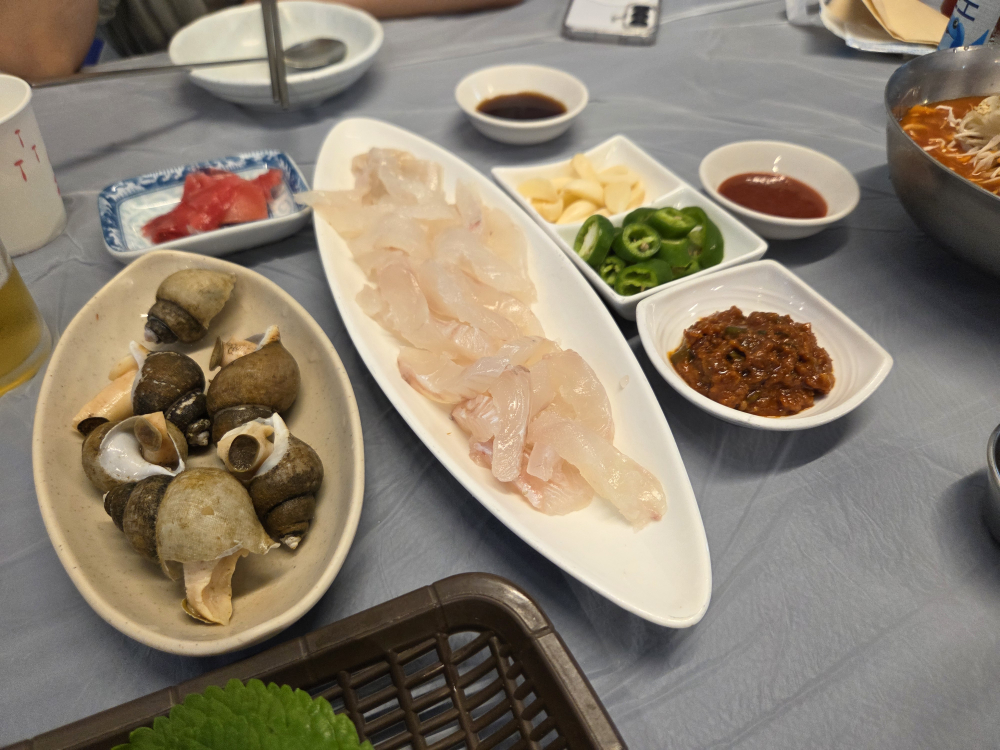 독도야 사진 2
