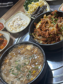 거북이가반한오리 사진 3
