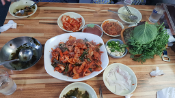 멍텅구리 사진 7