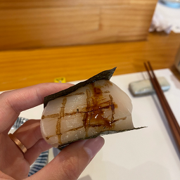 스시거제 사진 8