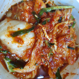 강릉족보집 사진 5