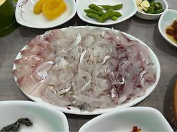 춤추는산오징어해 대표 사진