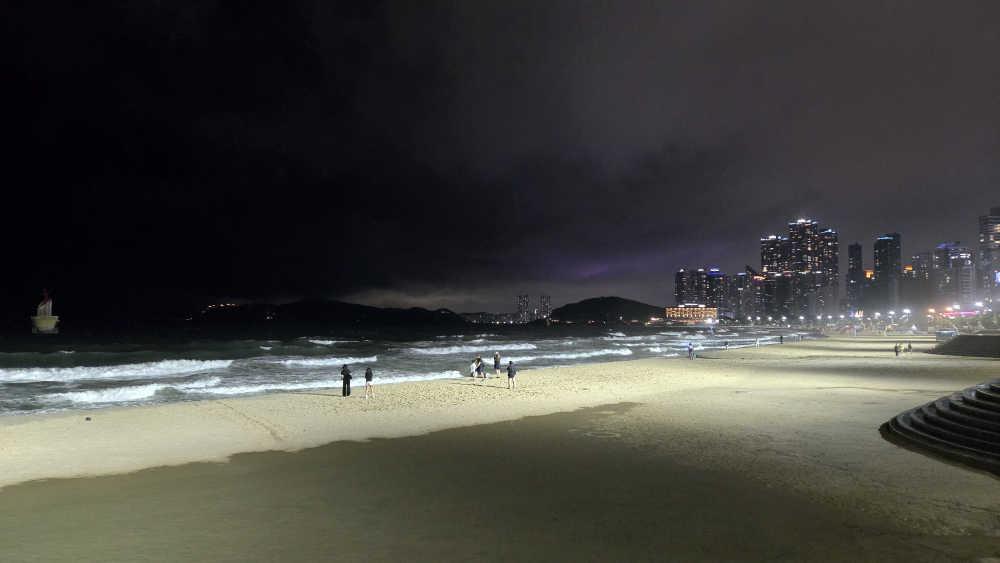 도머 사진 3
