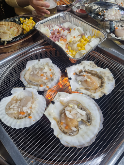 바닷속조개왕국 사진 2