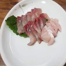 홍도복어 사진 4