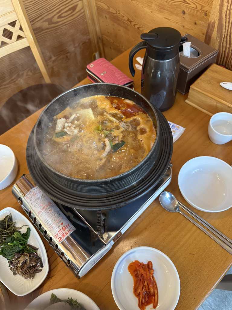 불미골오리 사진 2