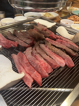 고기어때 사진 2