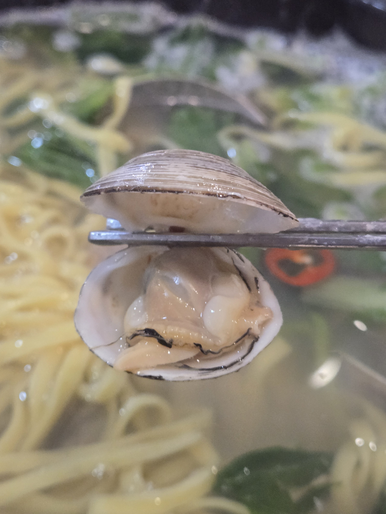 이민창칼국수 사진 4