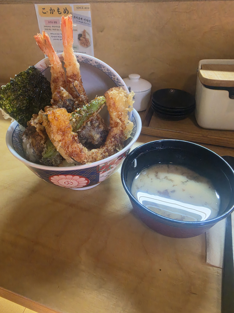 코카모메 사진 3