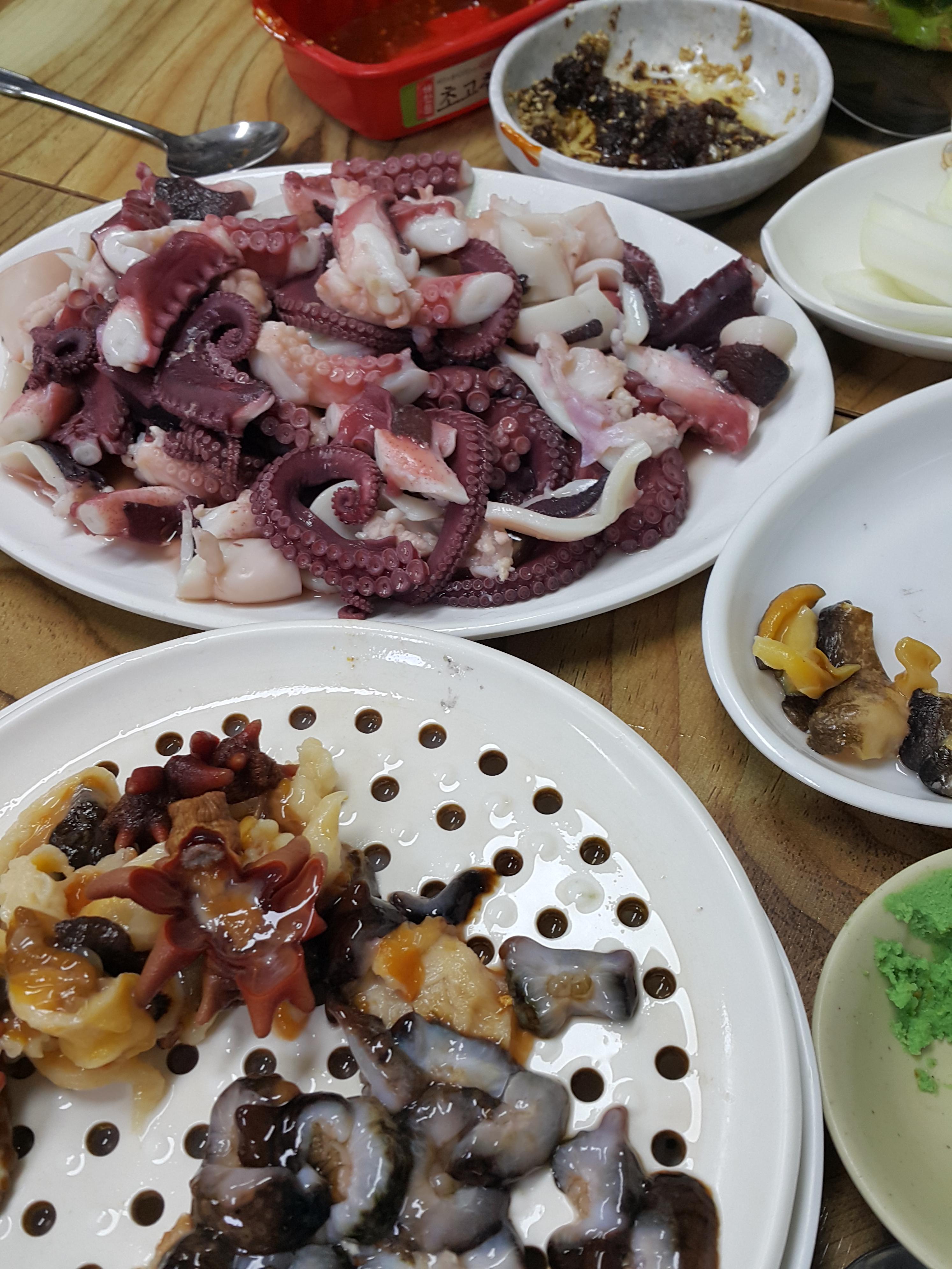 명진이네 사진 5