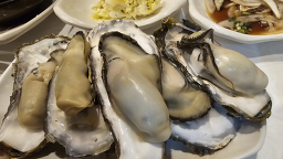 독도다찌 사진 6