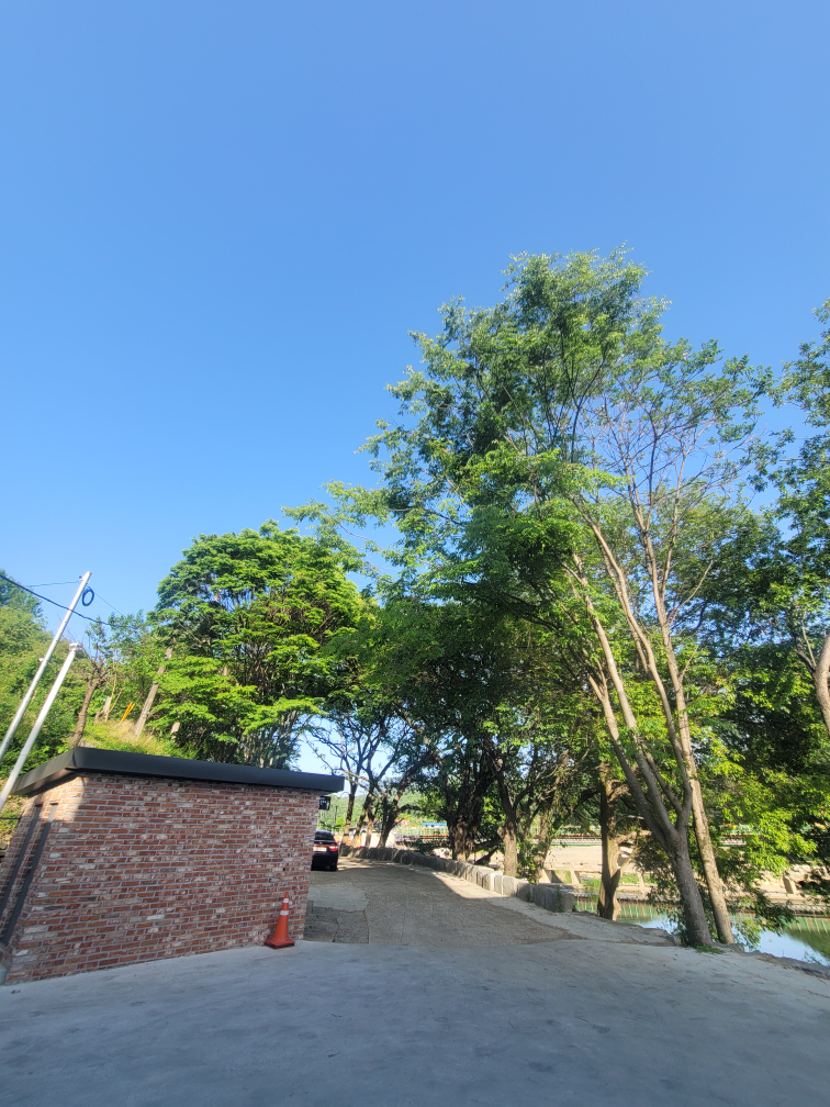 카페침산 사진 7