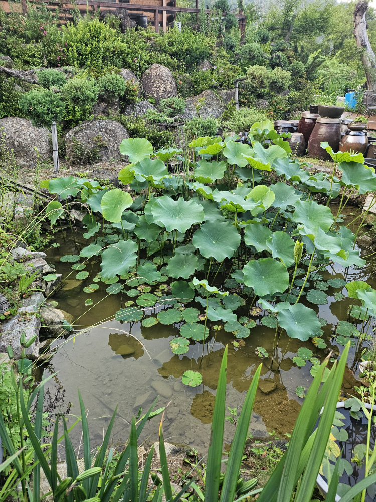 약수골 사진 4