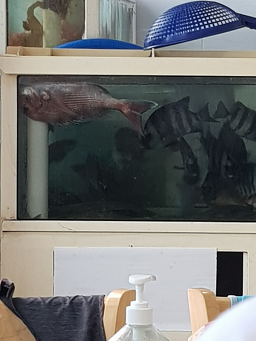 해동회맛집 사진 2