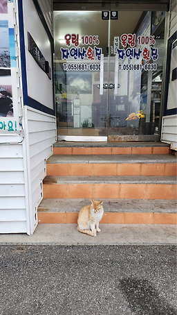 옥림자연산횟집 사진 2
