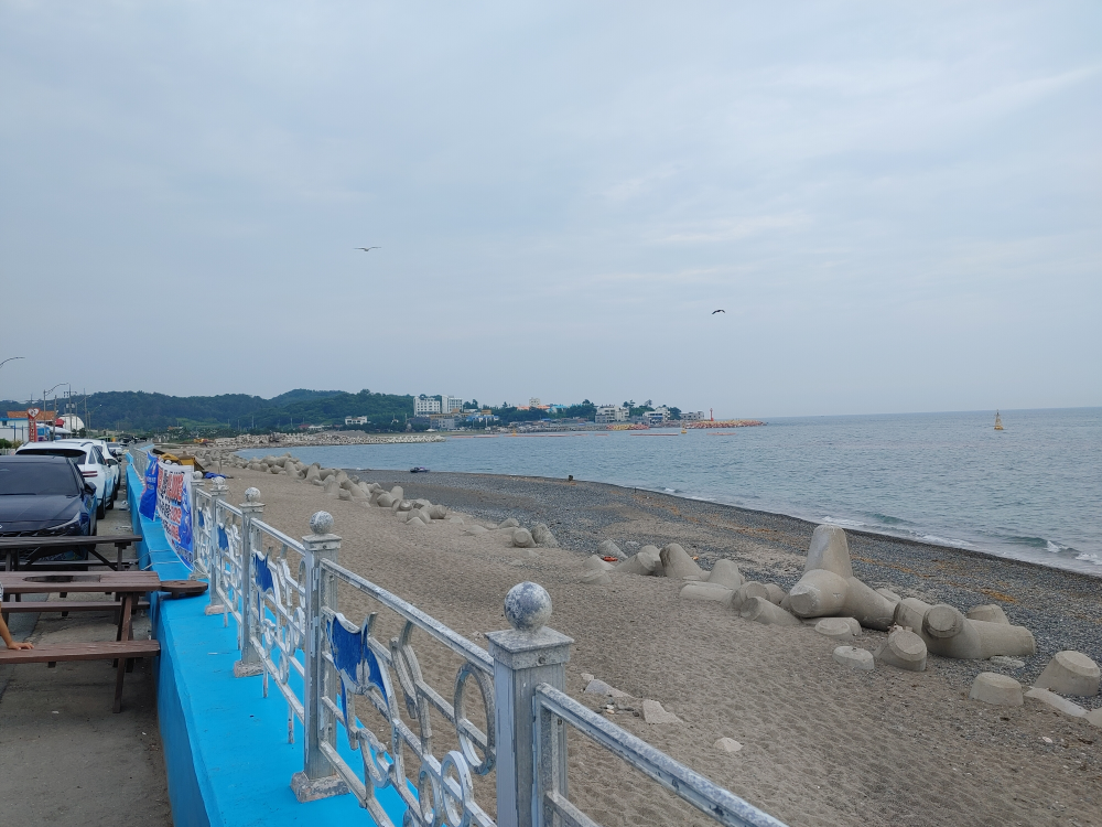 동남식당 사진 5