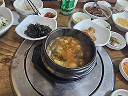 부산갈매기 사진 6