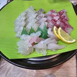 뱃고동물회 대표 사진