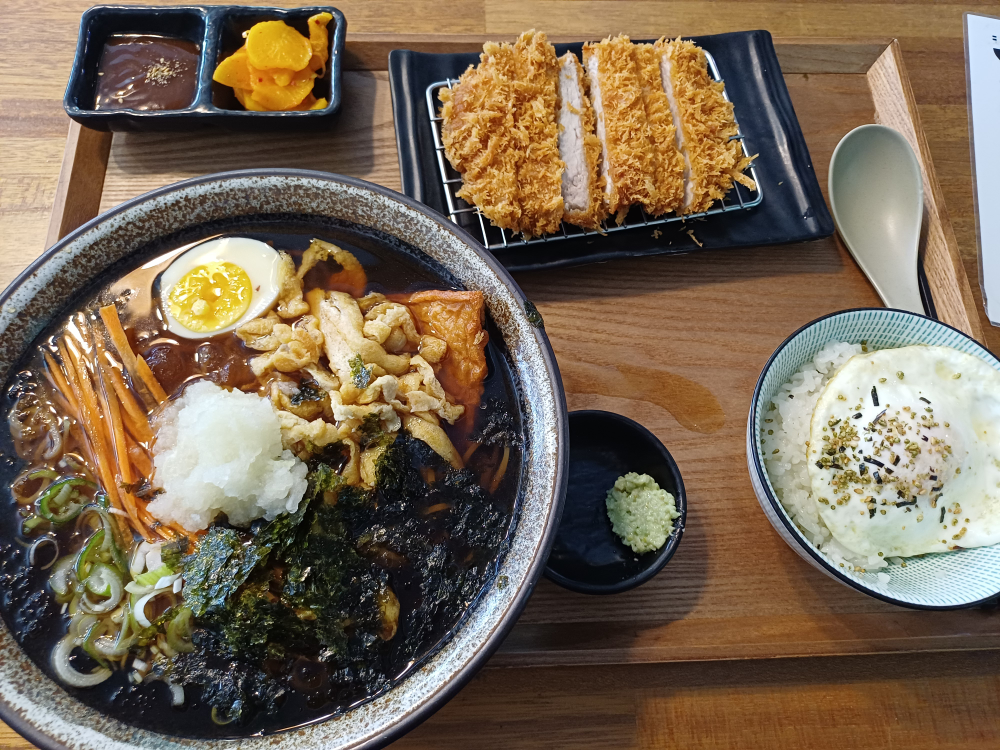 코야 사진 3