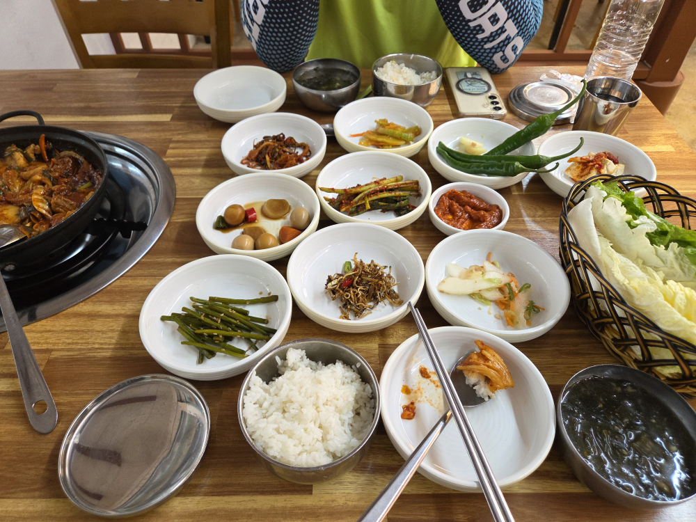 마당 사진 4