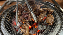 부산갈매기 사진 7