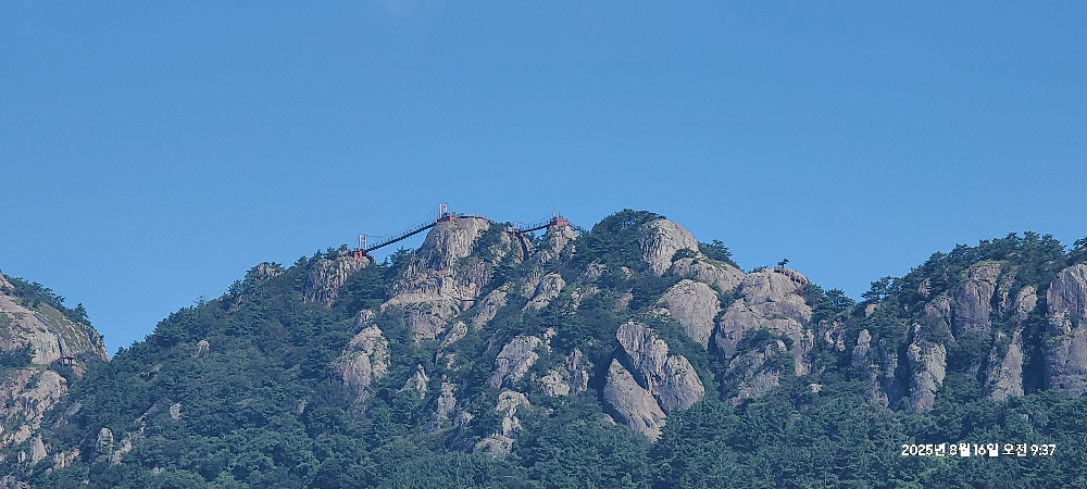 대교횟집 대표 사진