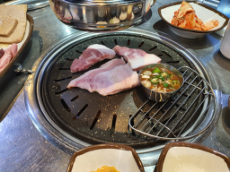 원조부산갈매기 사진 5